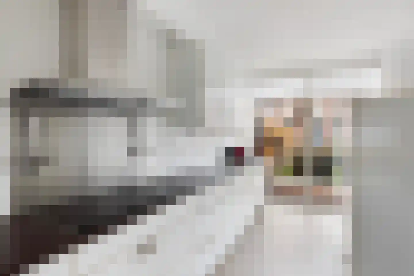 Flatusstraat 105 Capelle aan den IJssel thumbnail 13