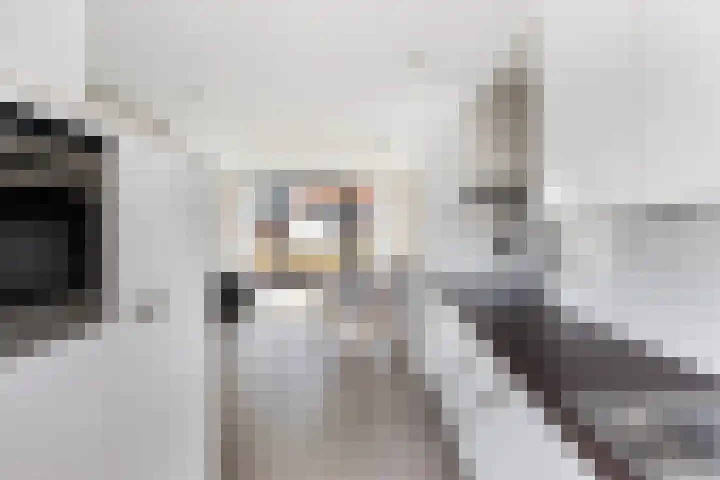 Flatusstraat 105 Capelle aan den IJssel thumbnail 14