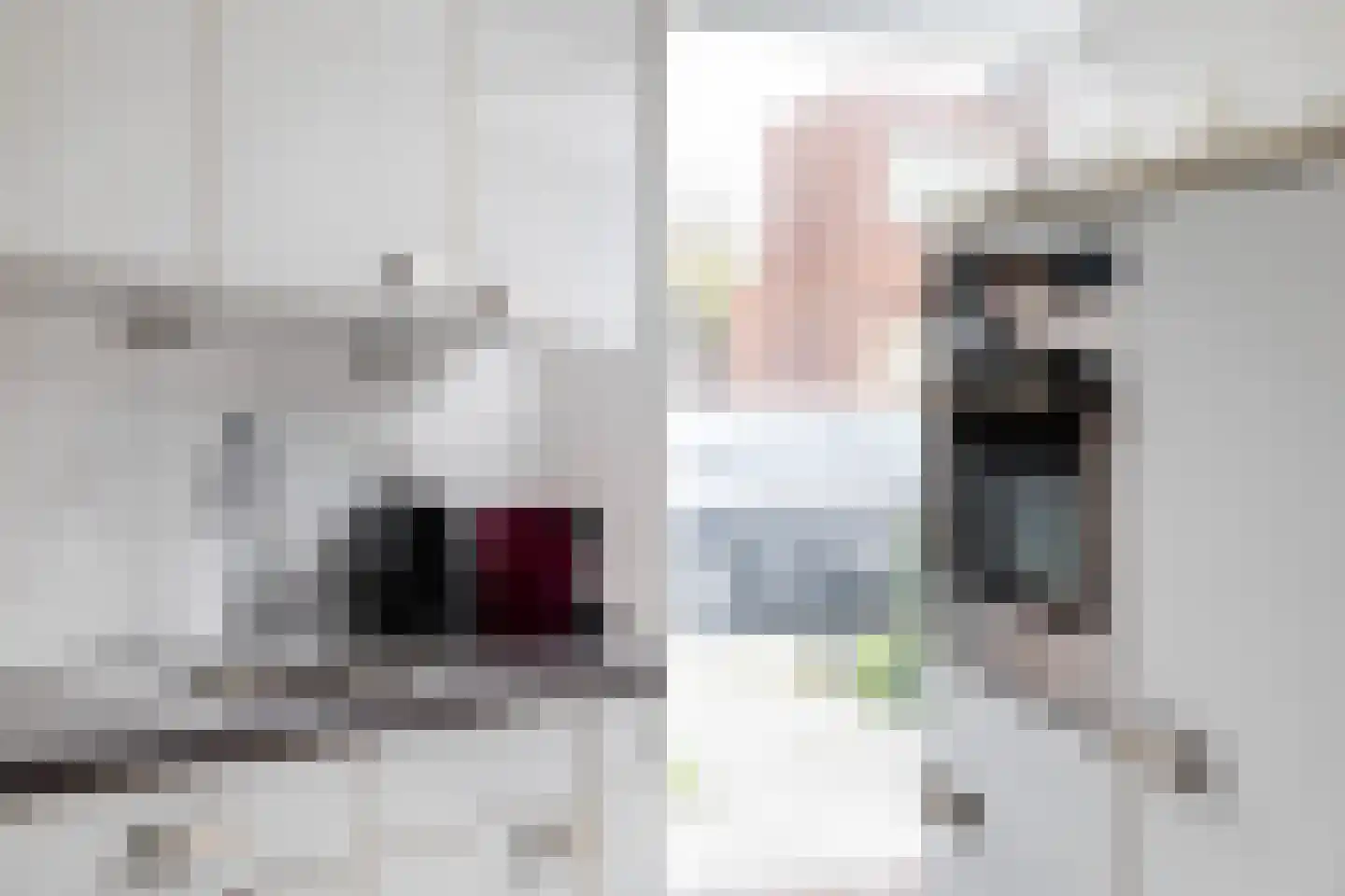 Flatusstraat 105 Capelle aan den IJssel thumbnail 15