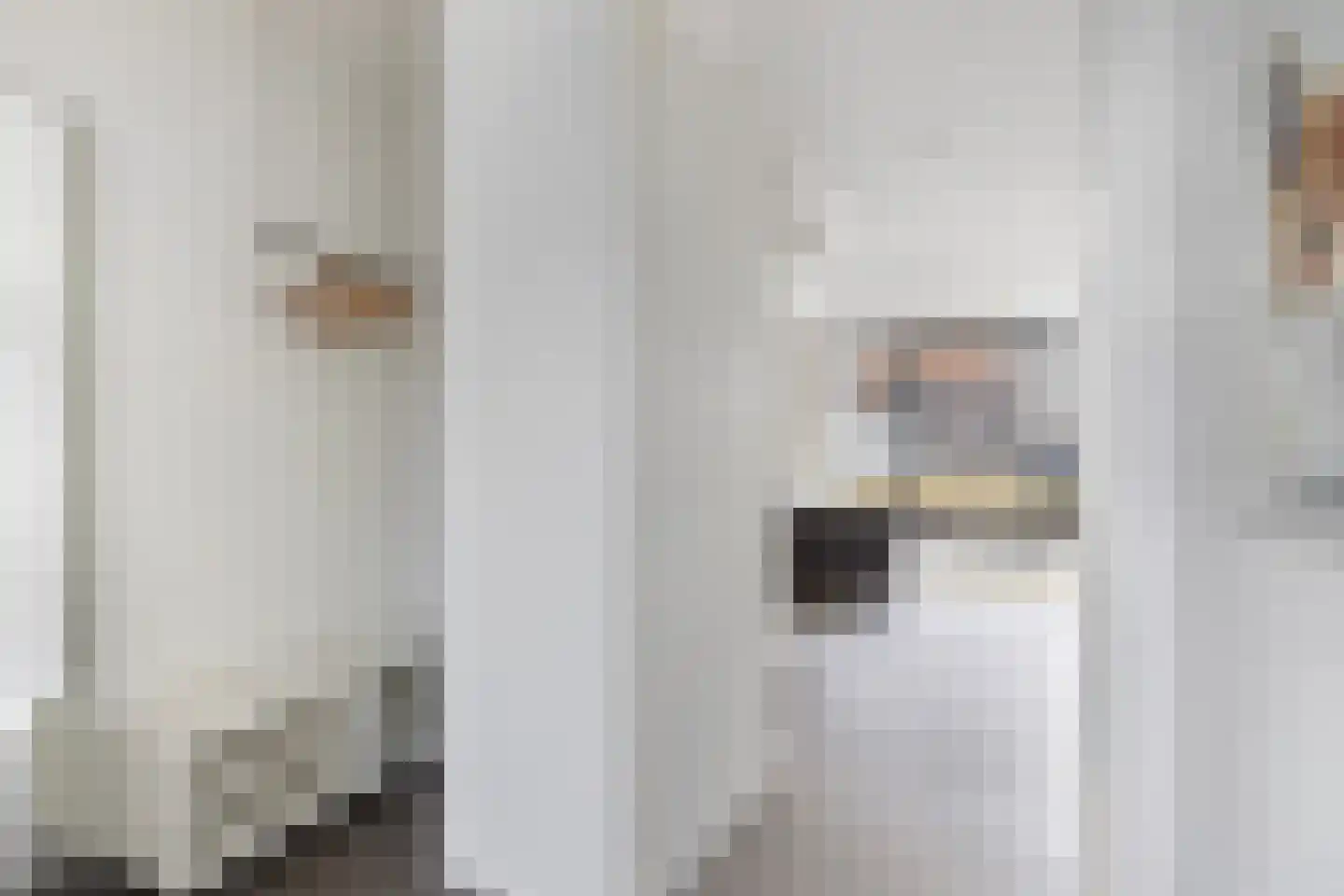Flatusstraat 105 Capelle aan den IJssel thumbnail 6