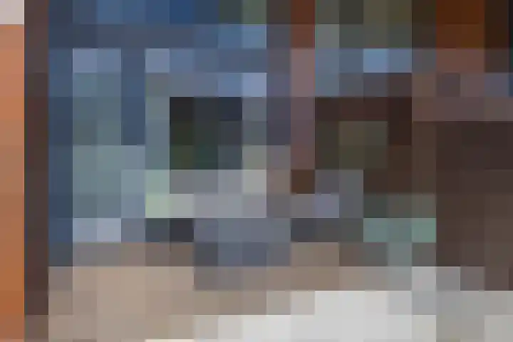 Flatusstraat 109 Capelle aan den IJssel thumbnail 11