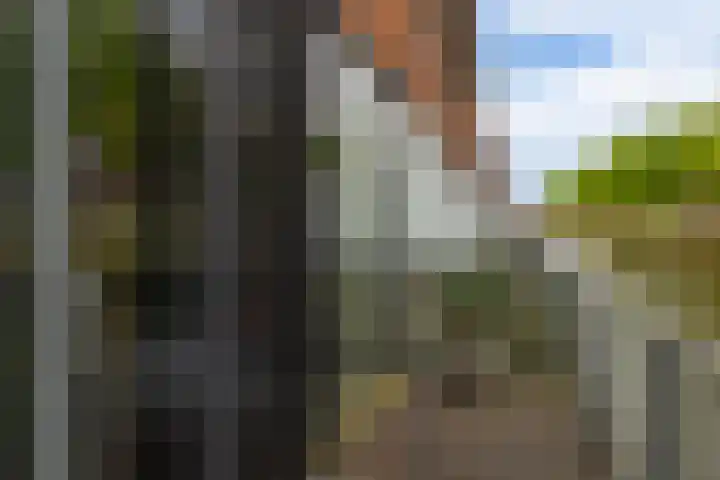 Flatusstraat 109 Capelle aan den IJssel thumbnail 17