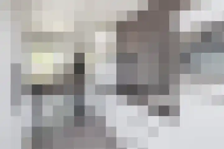 Flatusstraat 109 Capelle aan den IJssel thumbnail 22