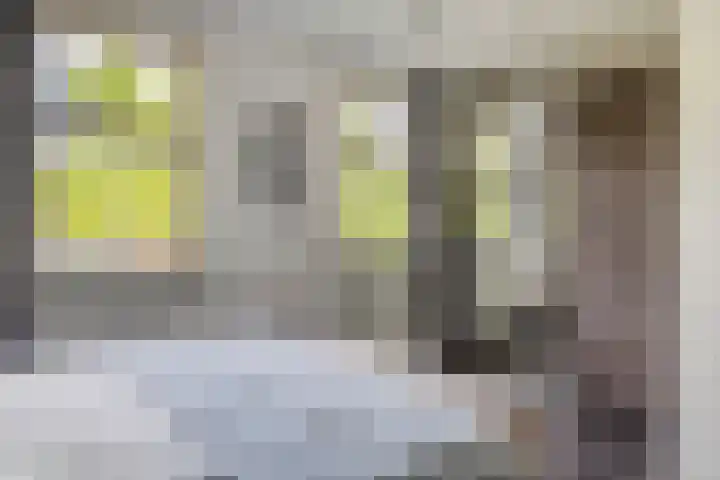 Flatusstraat 109 Capelle aan den IJssel thumbnail 26