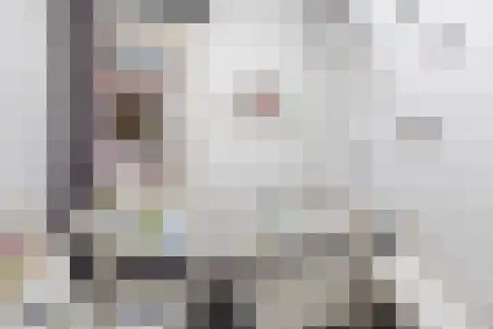 Flatusstraat 109 Capelle aan den IJssel thumbnail 28