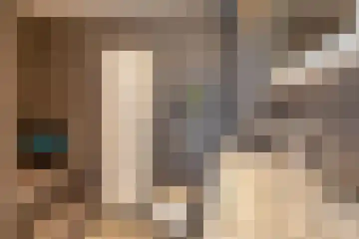 Flatusstraat 109 Capelle aan den IJssel thumbnail 31