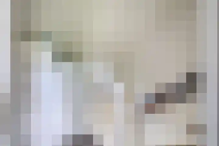 Flatusstraat 109 Capelle aan den IJssel thumbnail 35