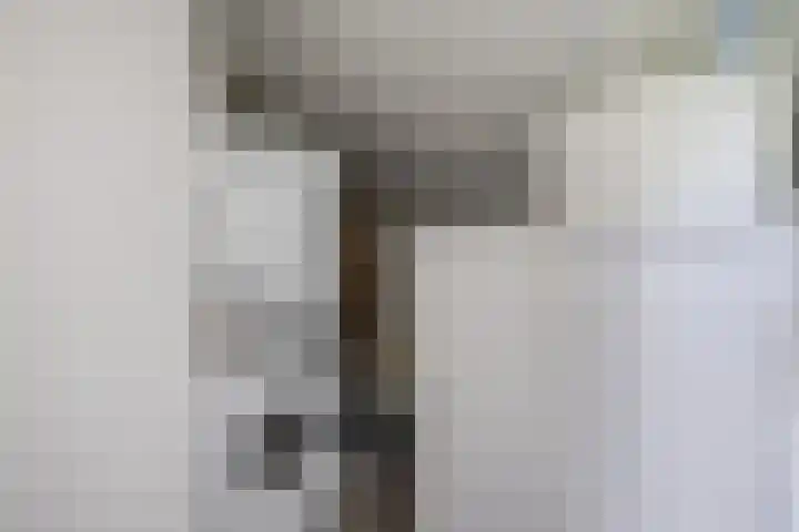 Flatusstraat 109 Capelle aan den IJssel thumbnail 36