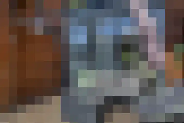 Flatusstraat 109 Capelle aan den IJssel thumbnail 4