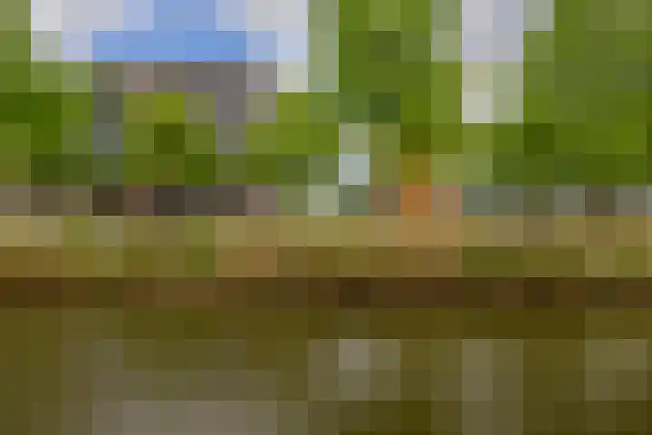 Flatusstraat 109 Capelle aan den IJssel thumbnail 41