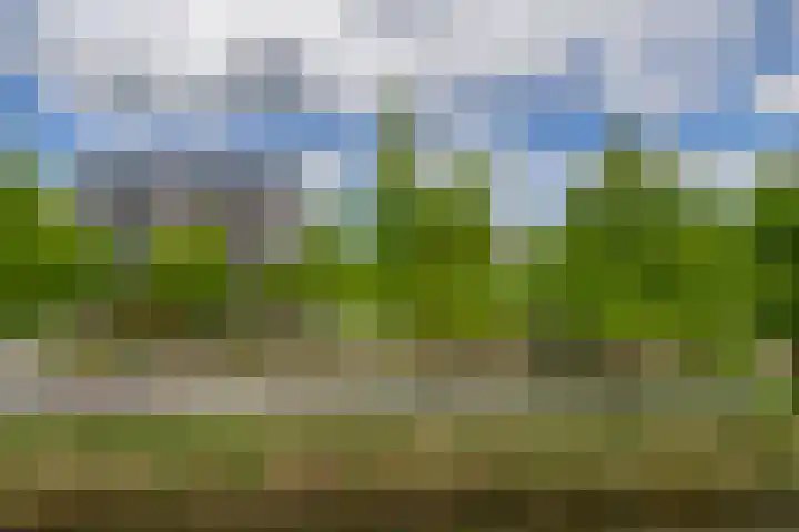 Flatusstraat 109 Capelle aan den IJssel thumbnail 42