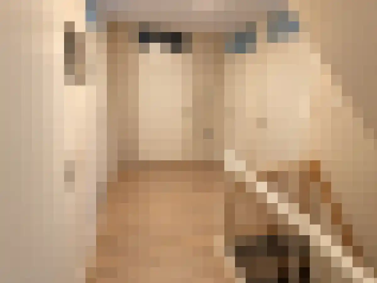 Flatusstraat 65 Capelle aan den IJssel thumbnail 6