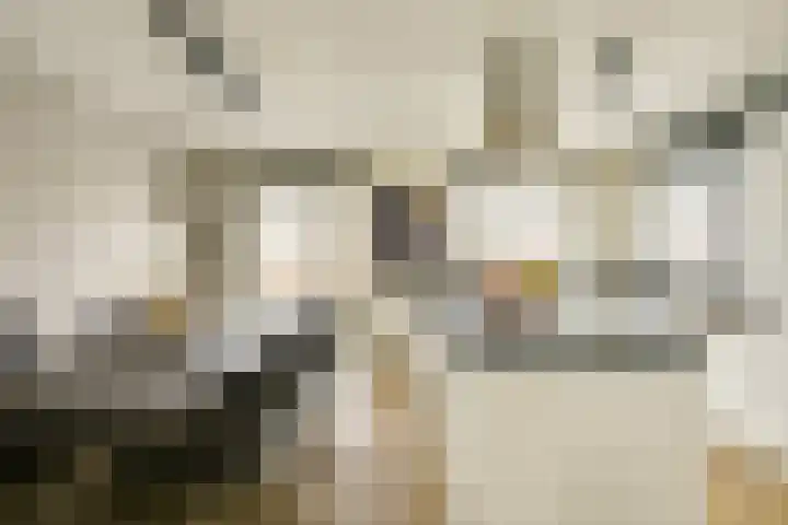 Flavius 5 Wijk bij Duurstede thumbnail 14