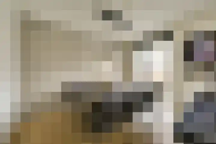 Flavius 5 Wijk bij Duurstede thumbnail 15