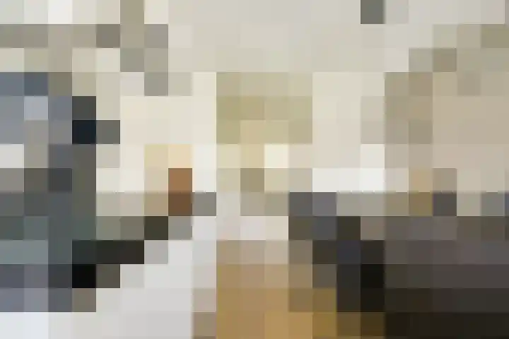 Flavius 5 Wijk bij Duurstede thumbnail 18