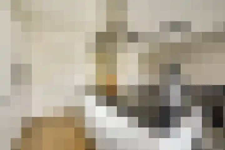 Flavius 5 Wijk bij Duurstede thumbnail 19