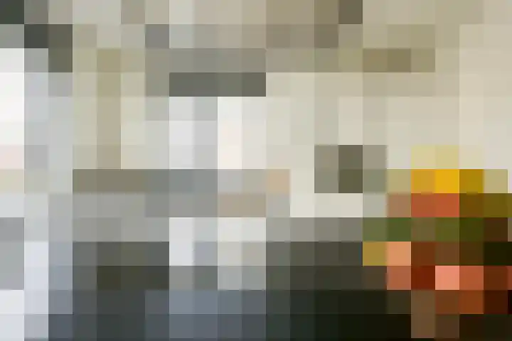 Flavius 5 Wijk bij Duurstede thumbnail 22
