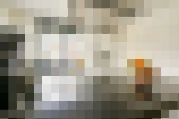 Flavius 5 Wijk bij Duurstede thumbnail 25