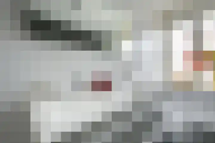Flavius 5 Wijk bij Duurstede thumbnail 41
