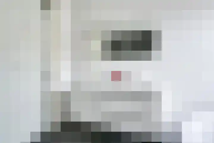 Flavius 5 Wijk bij Duurstede thumbnail 44