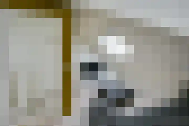 Flavius 5 Wijk bij Duurstede thumbnail 48