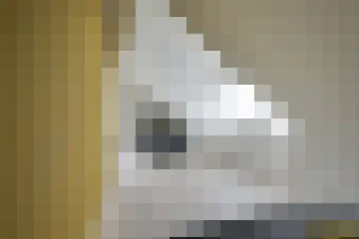 Flavius 5 Wijk bij Duurstede thumbnail 55