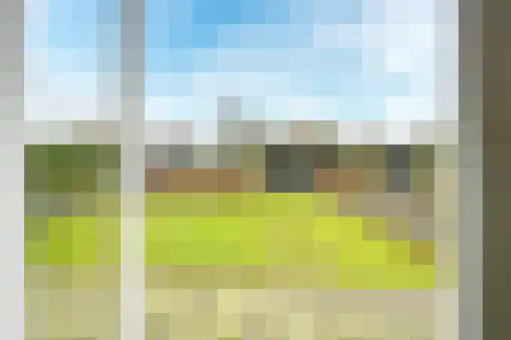Flavius 5 Wijk bij Duurstede thumbnail 58