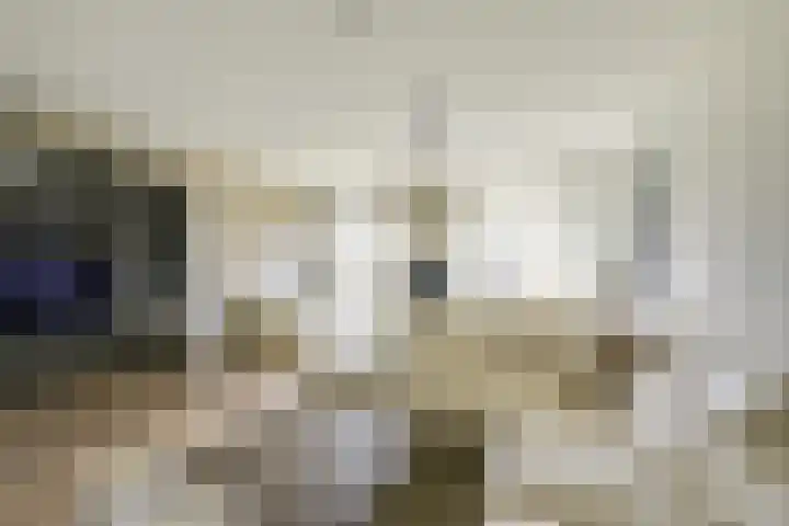 Flavius 5 Wijk bij Duurstede thumbnail 6