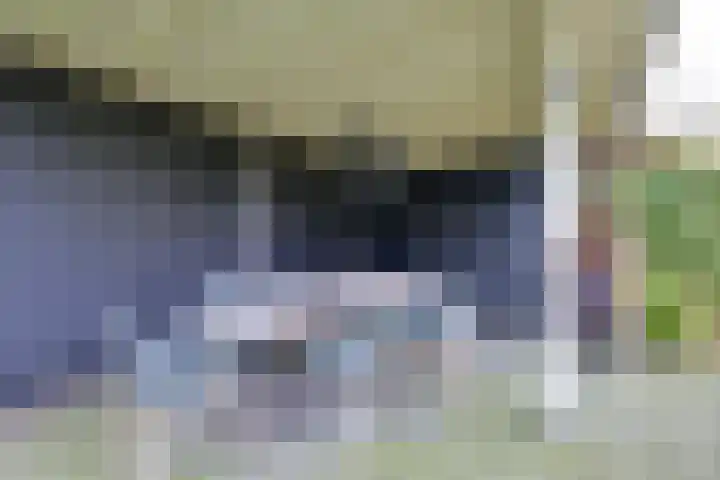 Flavius 5 Wijk bij Duurstede thumbnail 61