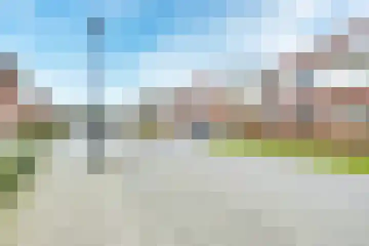 Flavius 5 Wijk bij Duurstede thumbnail 69