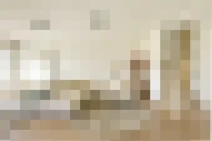 Flavius 5 Wijk bij Duurstede thumbnail 8
