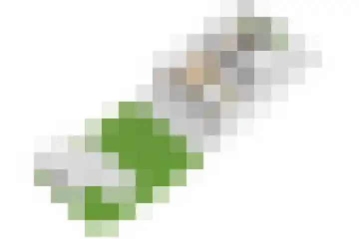 Flavius 5 Wijk bij Duurstede thumbnail 84