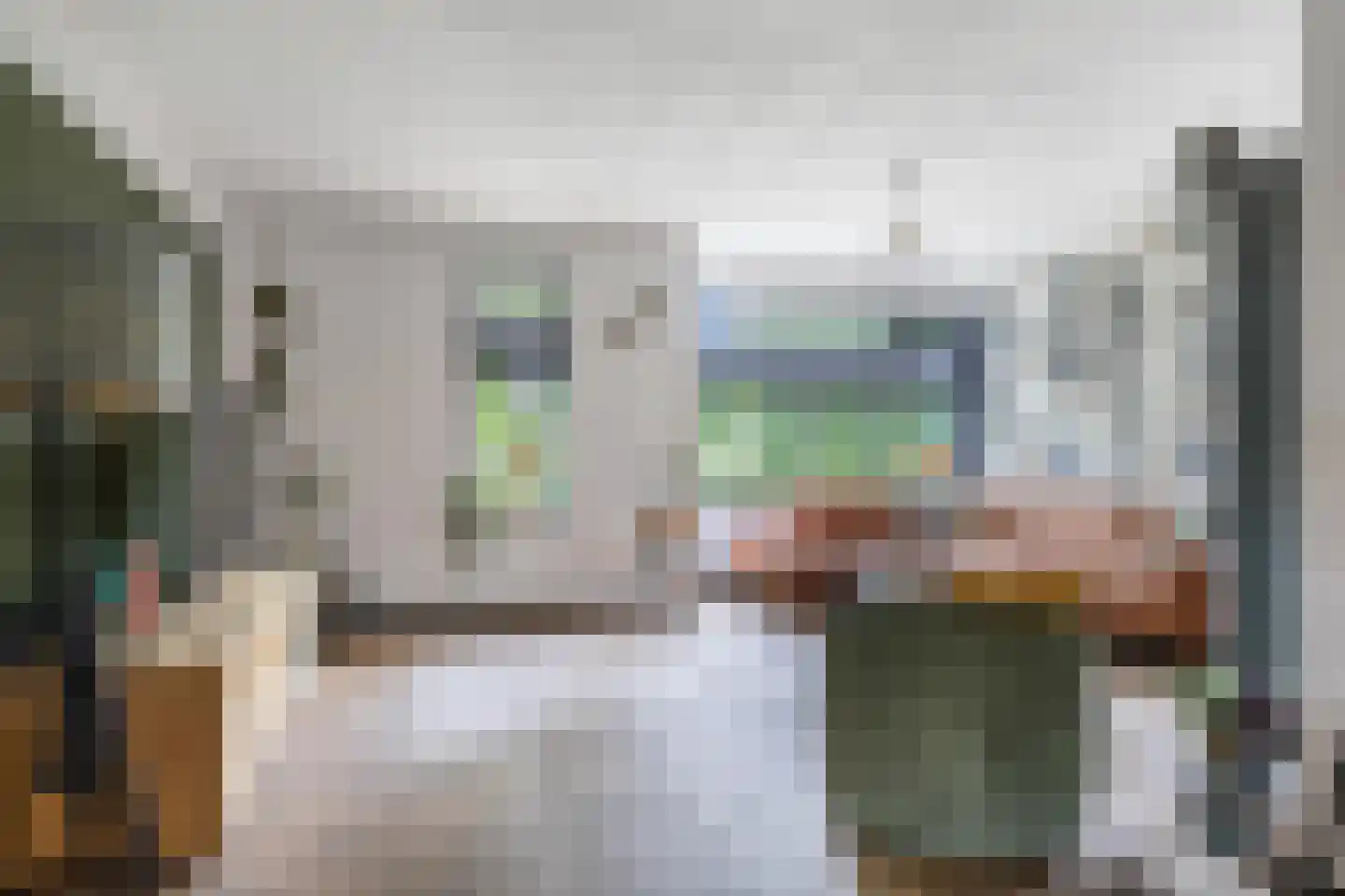 Fleardyk 33 Scharnegoutum thumbnail 10