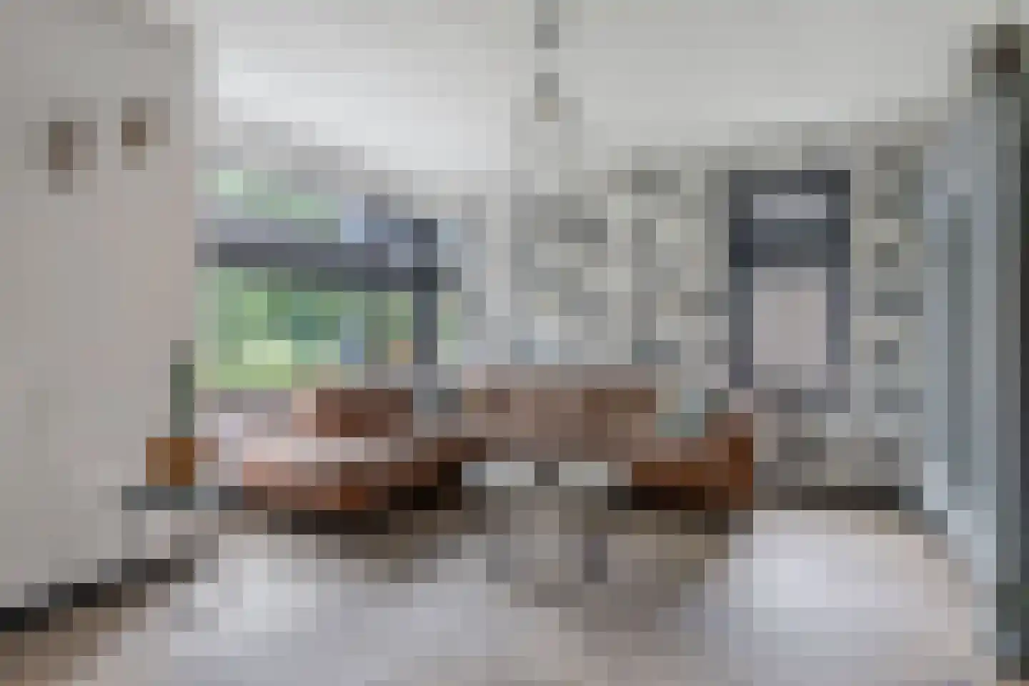 Fleardyk 33 Scharnegoutum thumbnail 11