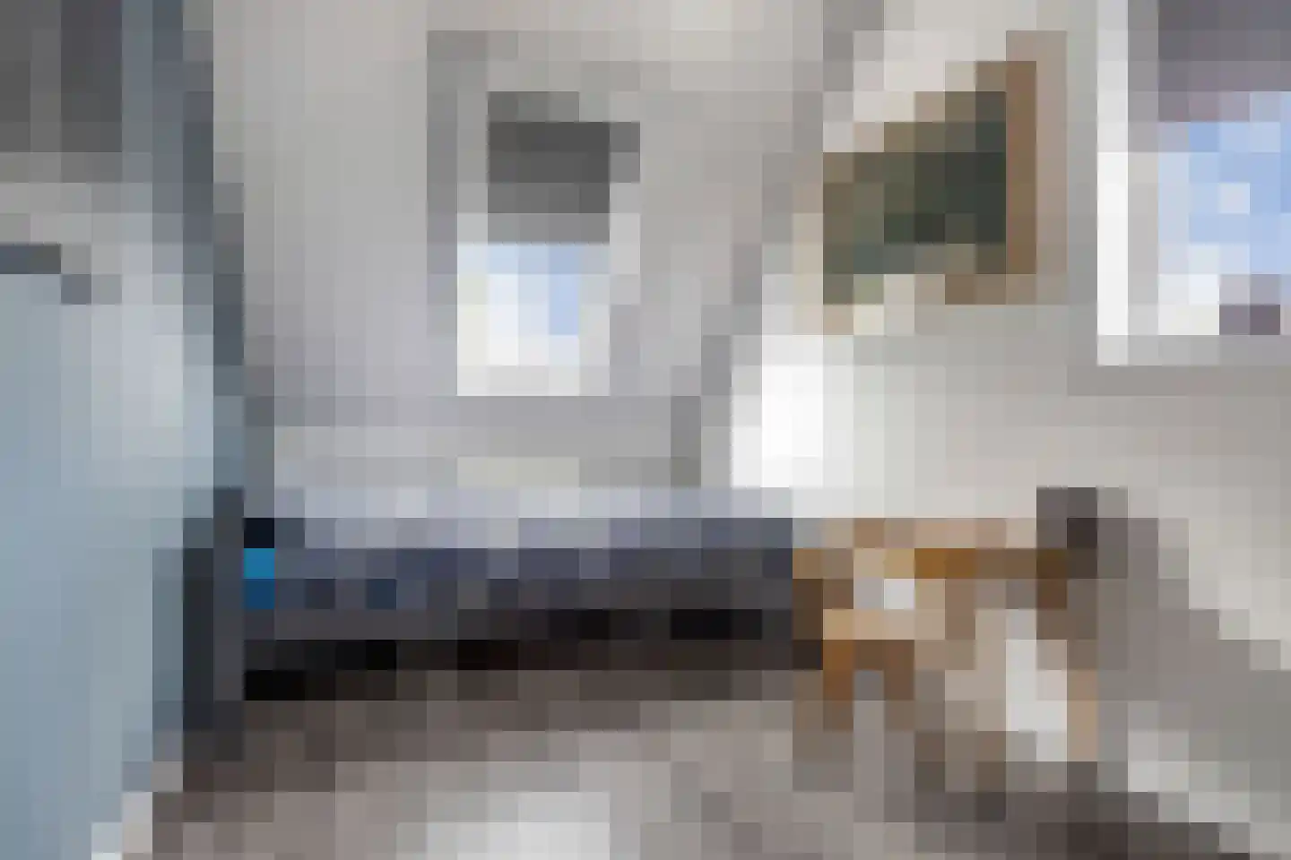 Fleardyk 33 Scharnegoutum thumbnail 23