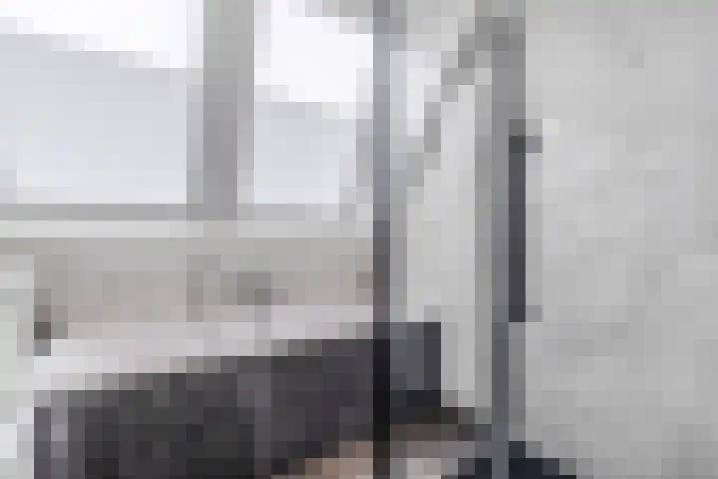 Fleardyk 33 Scharnegoutum thumbnail 30