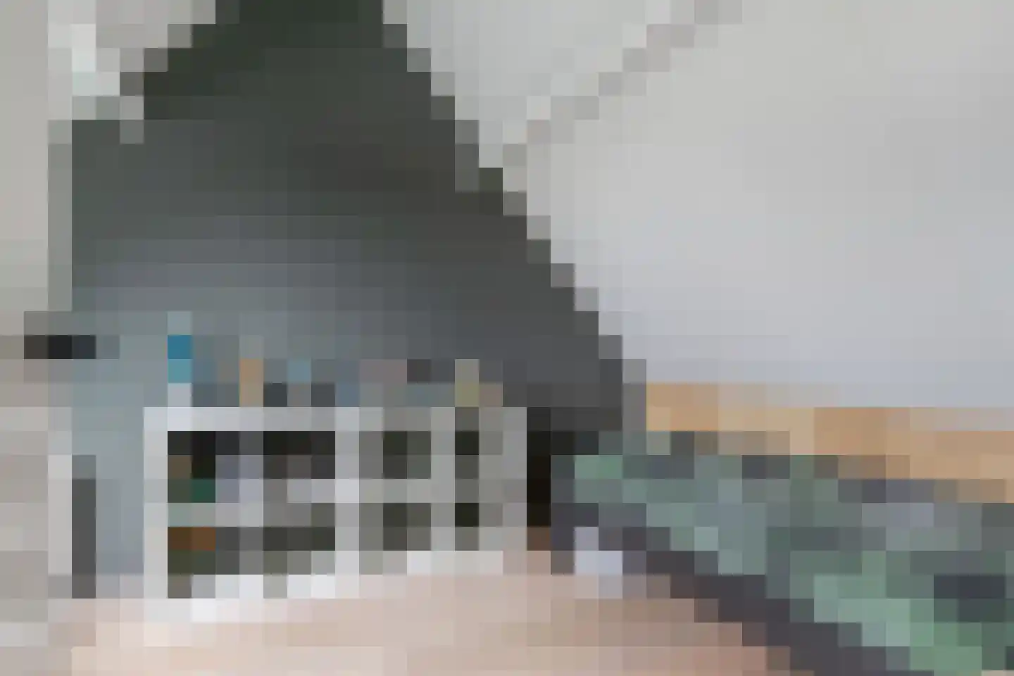 Fleardyk 33 Scharnegoutum thumbnail 34