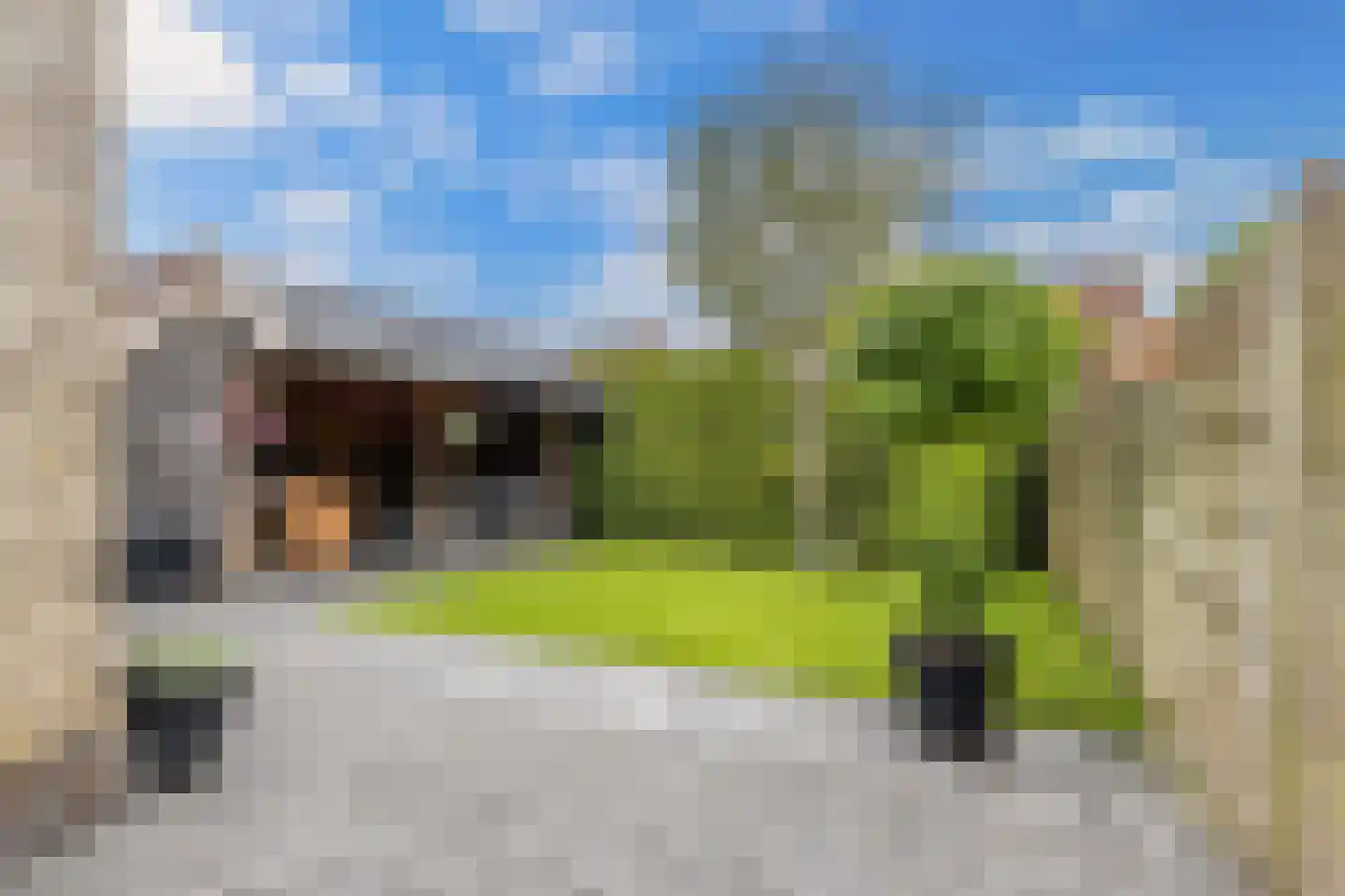 Fleardyk 33 Scharnegoutum thumbnail 38