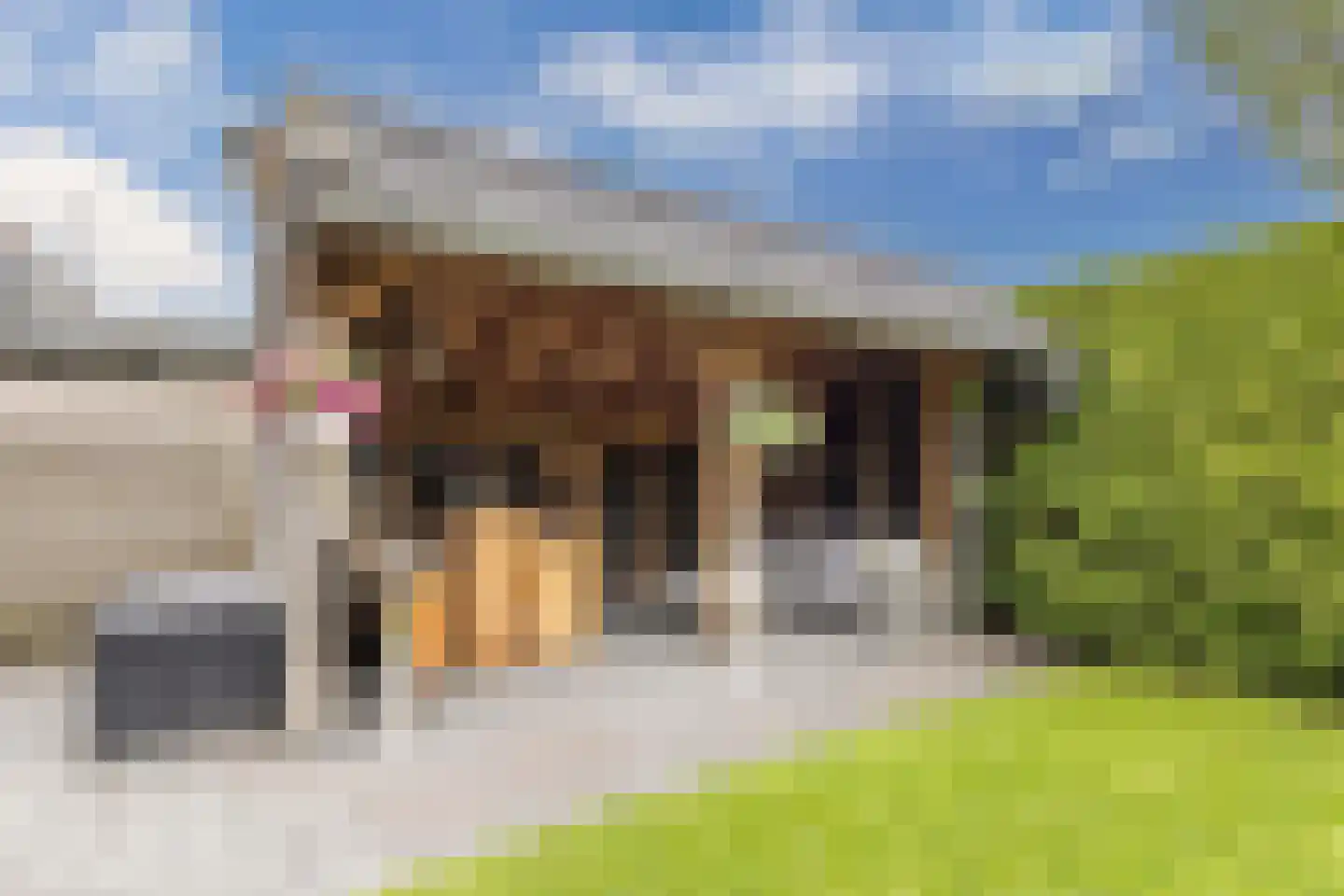 Fleardyk 33 Scharnegoutum thumbnail 39