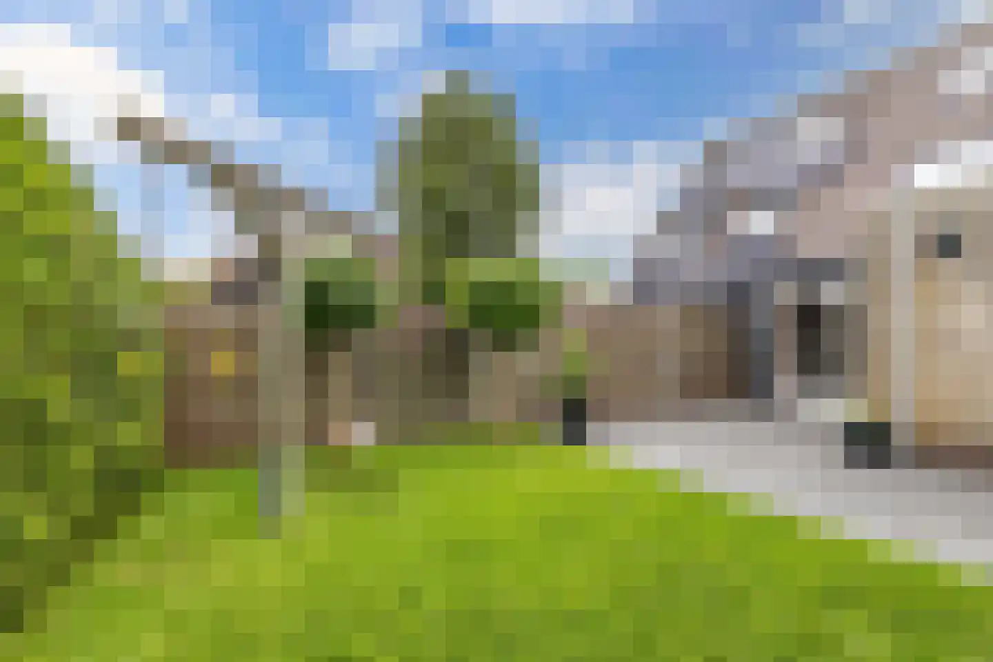 Fleardyk 33 Scharnegoutum thumbnail 43