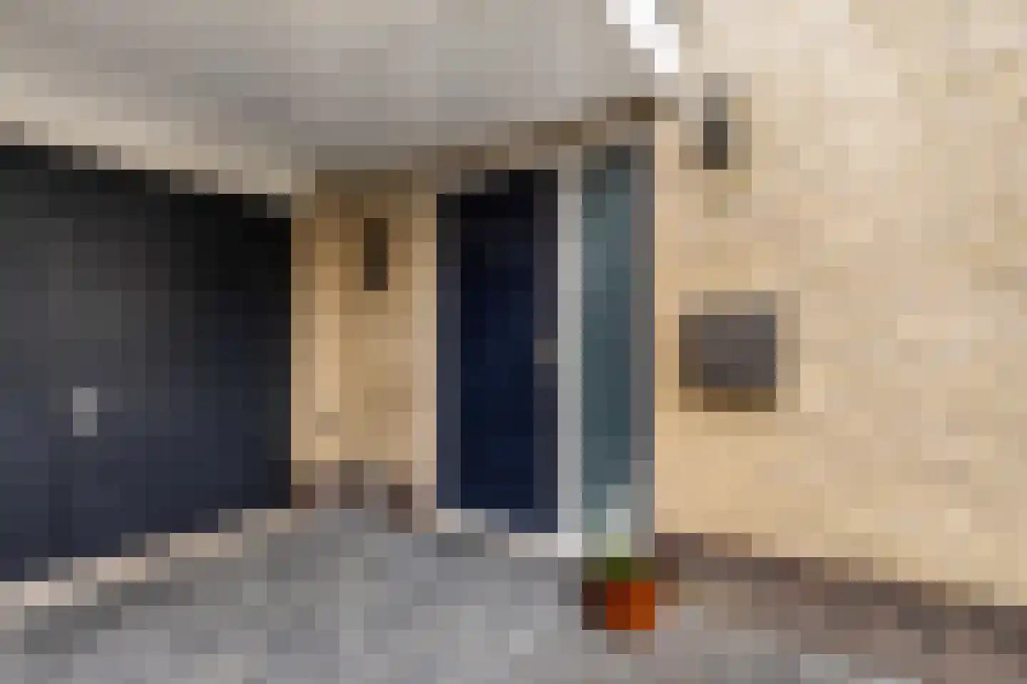 Fleardyk 33 Scharnegoutum thumbnail 6