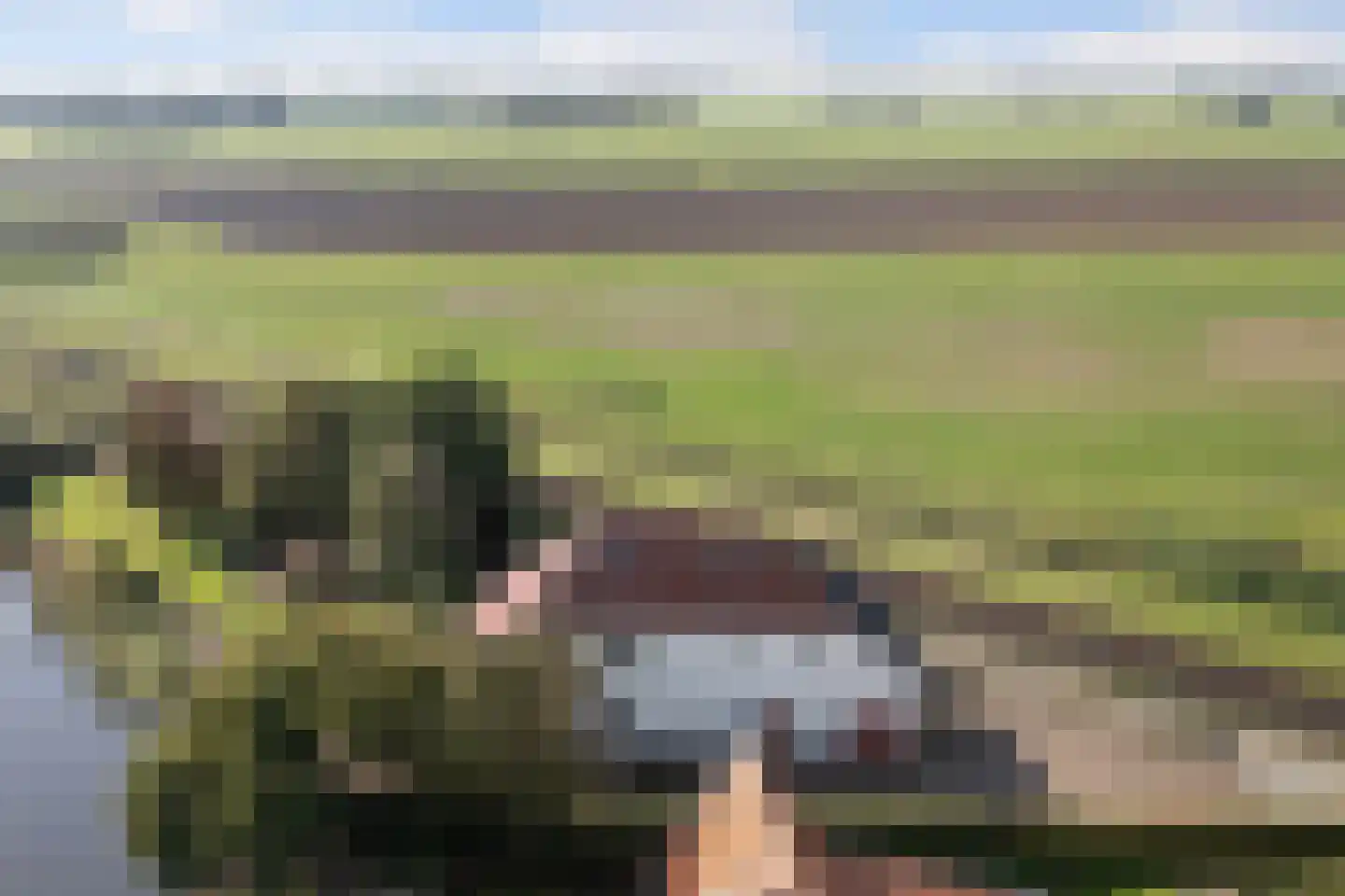Flearen 3 Boazum thumbnail 10