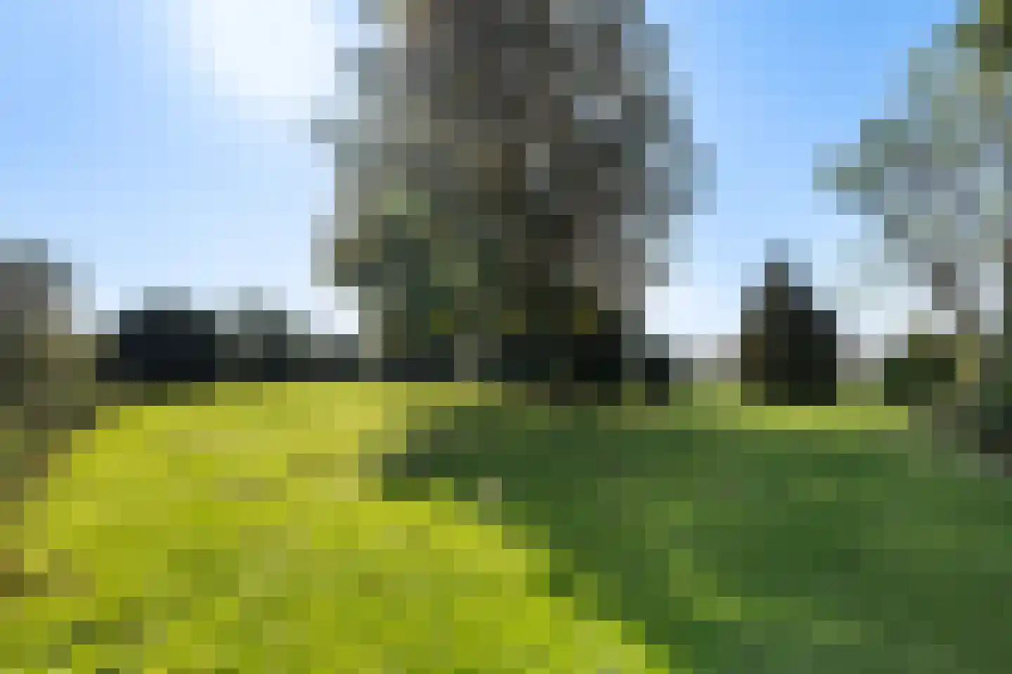 Flearen 3 Boazum thumbnail 17