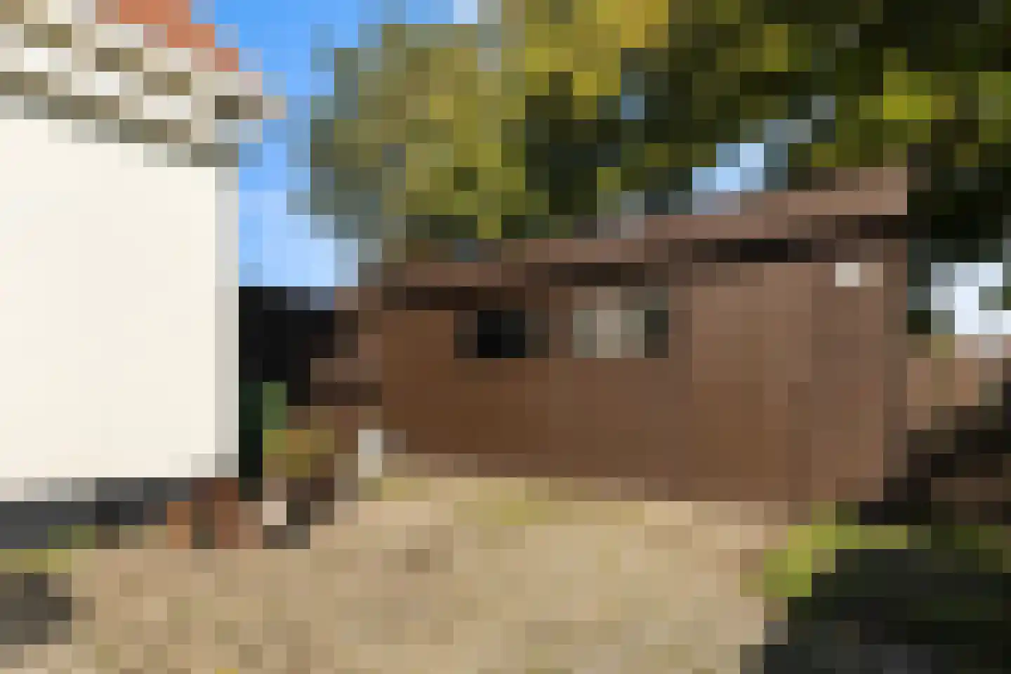Flearen 3 Boazum thumbnail 23