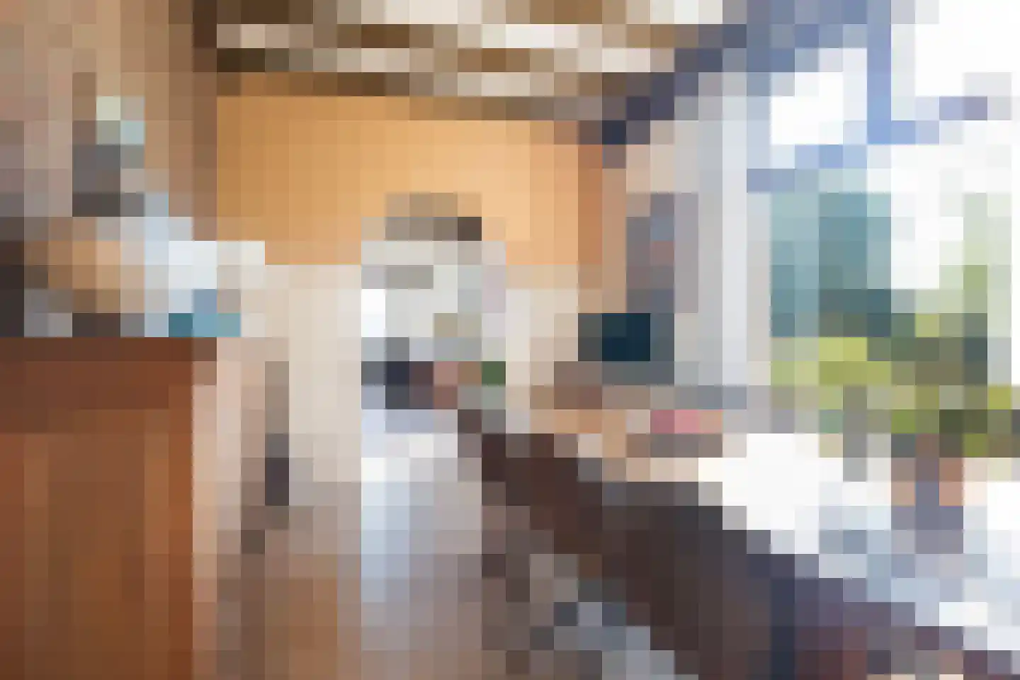 Flearen 3 Boazum thumbnail 32