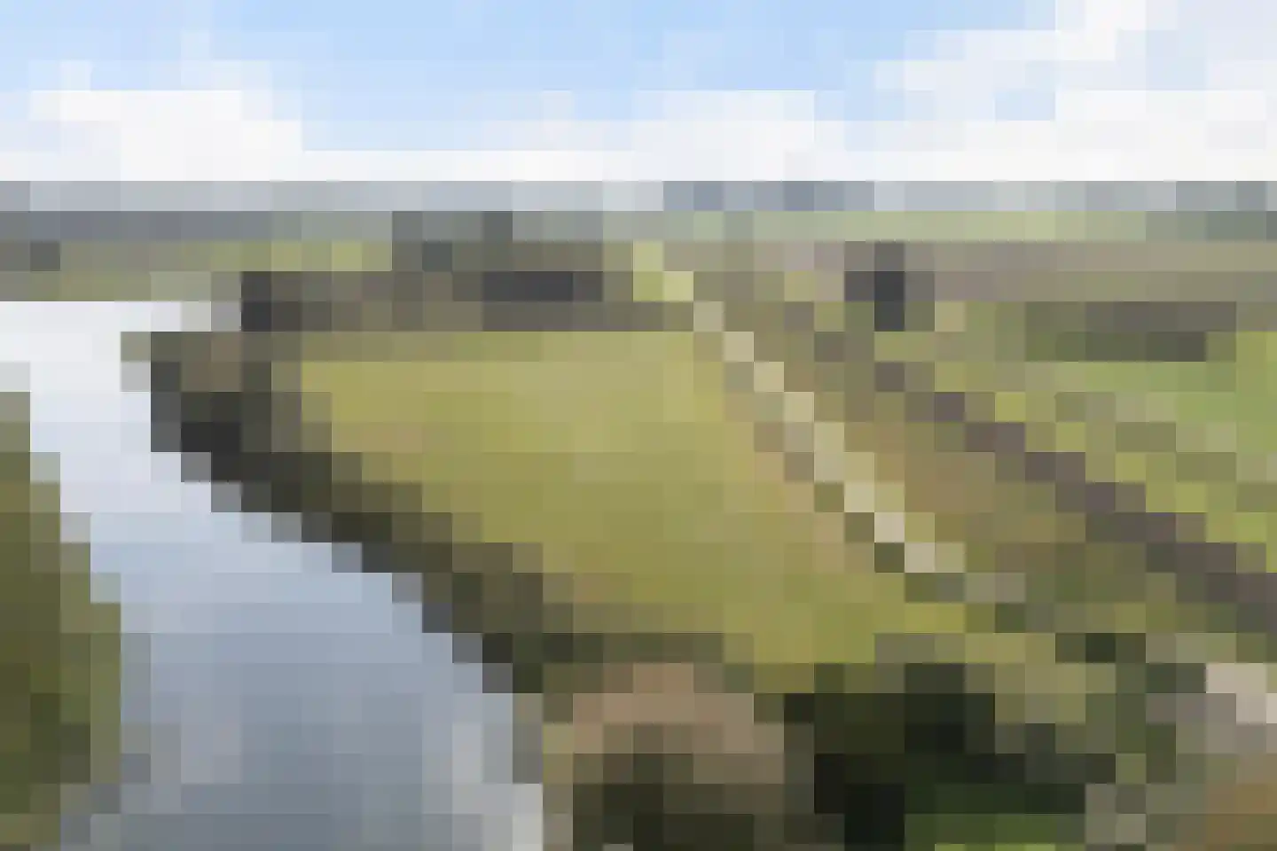 Flearen 3 Boazum thumbnail 4