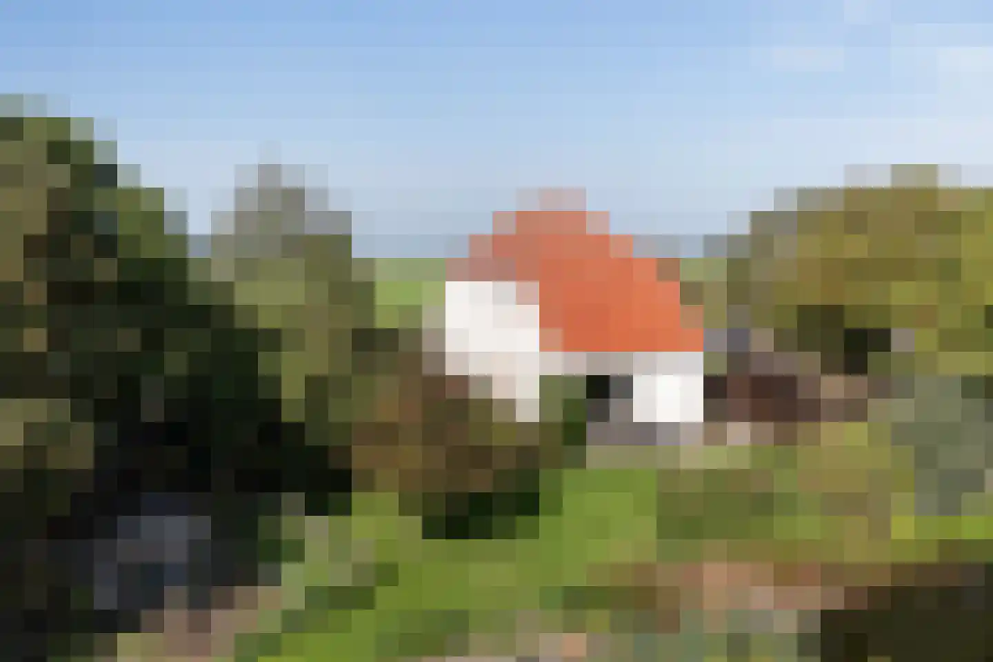 Flearen 3 Boazum thumbnail 5