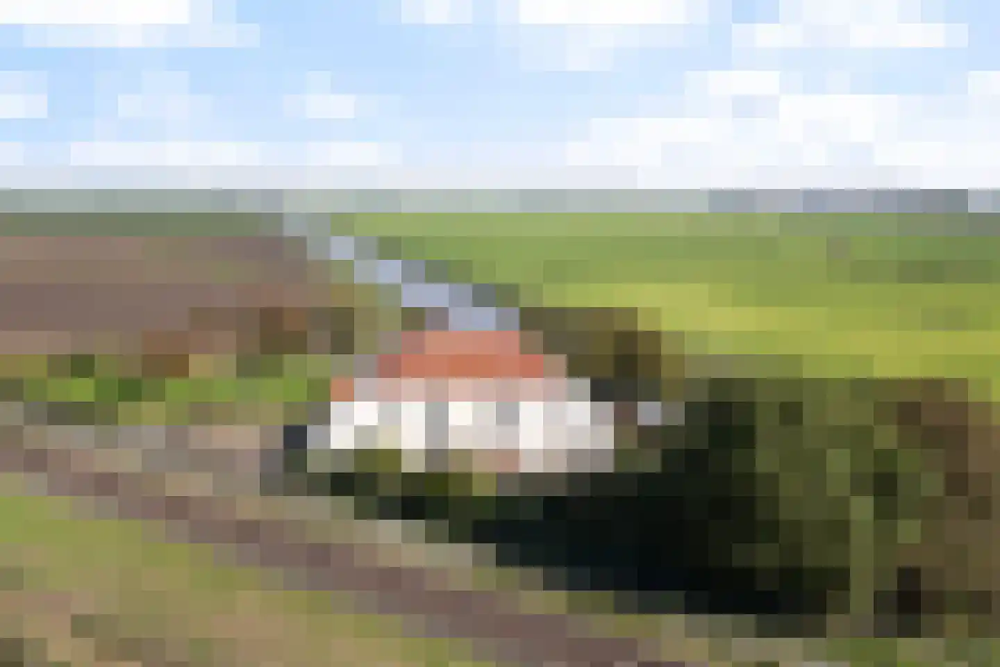 Flearen 3 Boazum thumbnail 7