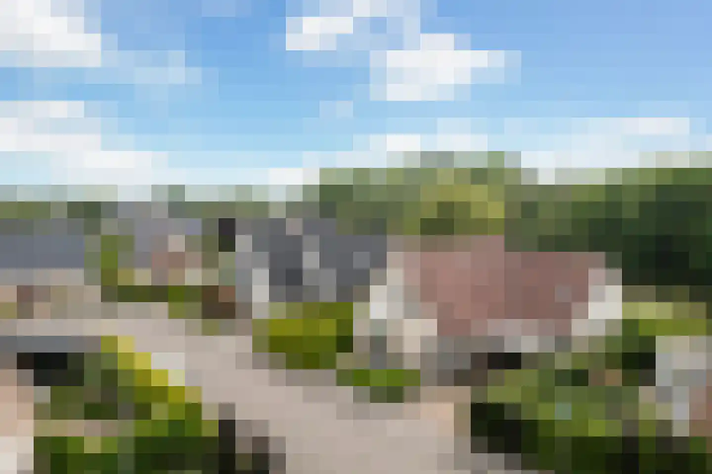 Flecht 8 Dokkum thumbnail 10