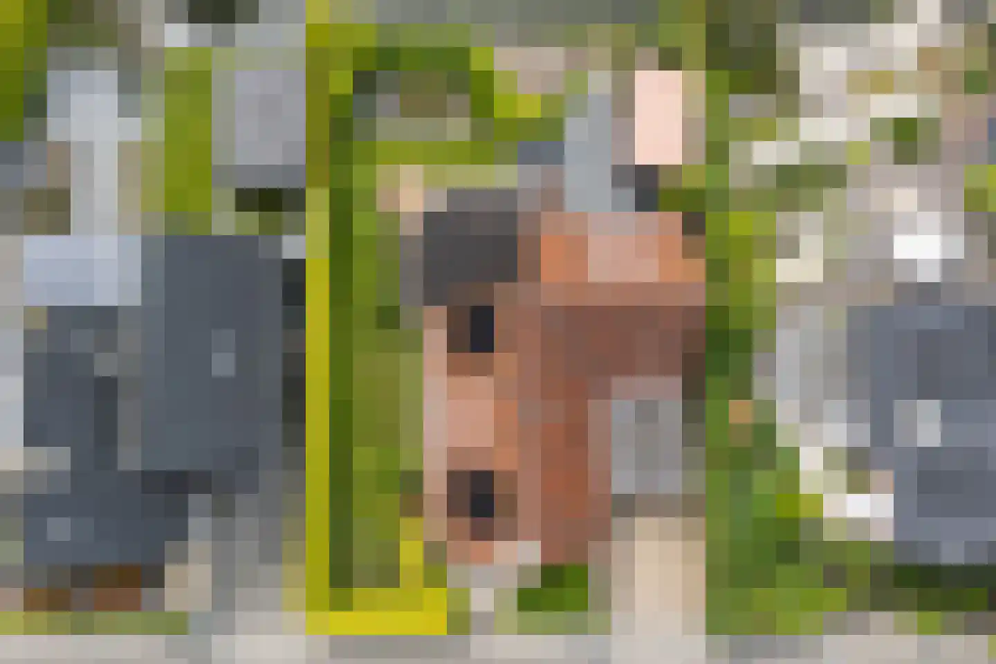 Flecht 8 Dokkum thumbnail 11